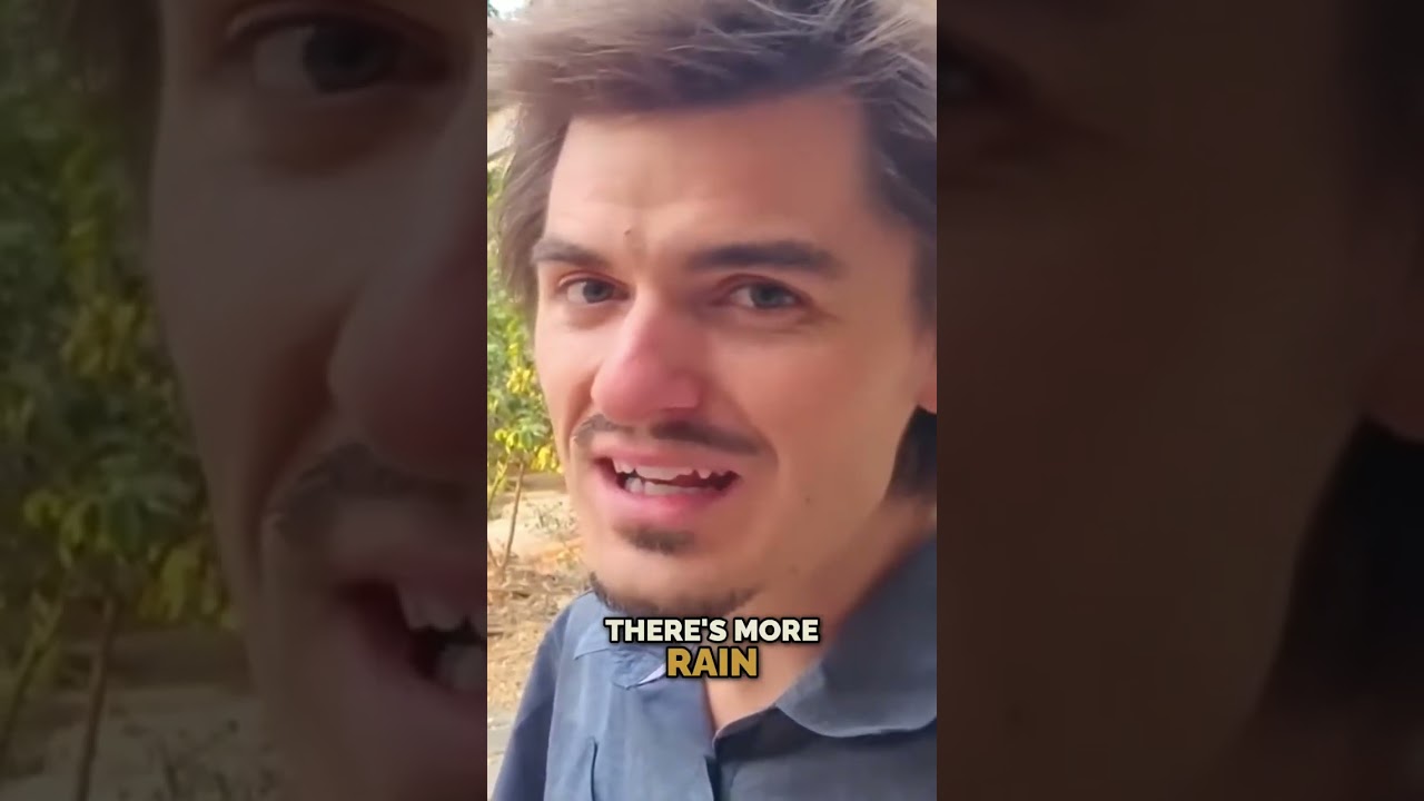 Transforming Deserts: How to Grow Food in Harsh Conditions