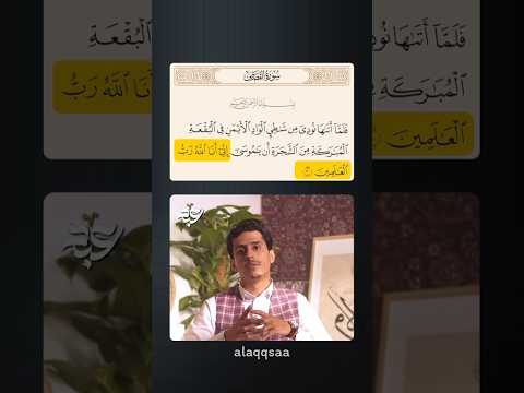 حين يأذن الله بزوال الطغيان يهيئ الأسباب فداء الدين يحيى فداء الدين أحمد السيد سمير مصطفى 