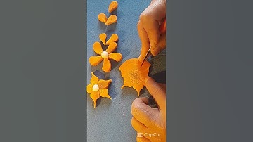 Cách tỉa hoa cà rốt 5 cánh đơn giản dễ dàng #shorts