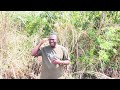 DAWA YA KUONGEZA KUMBUKUMBU DR OMARI 255750950609 