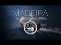 Tuma  madeira clip