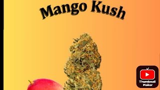 S9 Episode 2 Mango Kush Strain Review