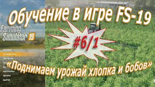 Поднимаем урожай хлопка и бобов «Farming Simulator 19» - #6/1