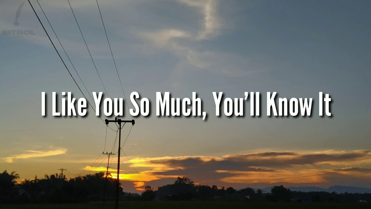 Ysabellle Cuevas | I Like You So Much You'll Know It (Lyrics) - YouTube