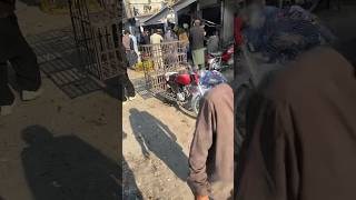 MUSTARD Pour Challenge!