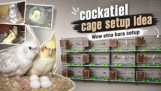 Cockatiel Cage Setup Idea || Cocktail parrot breeding setup