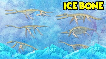 Sea Dinosaur bone puzzle study |What shape are dinosaur bones?|What did the dinosaurs eat?|공룡 뼈를 찾아라