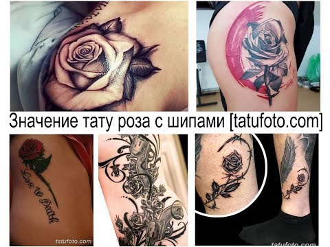 Значение тату роза с шипами - факты и фото для сайта tatufoto.com