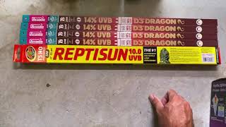 Collared Lizard Lighting 101 Profile