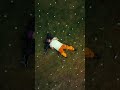 سيدو سيمبا تكه سيدو سيمبا تكه