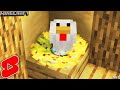 Minecraft: How to make a chicken coop #shorts