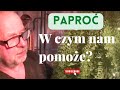 Adolf Kudlinski radzi : Paproć poprawi samopoczucie i odświeży powietrze w domu