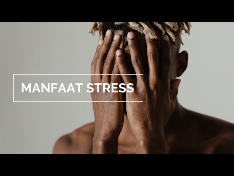 Video: Apa Manfaat Stres?