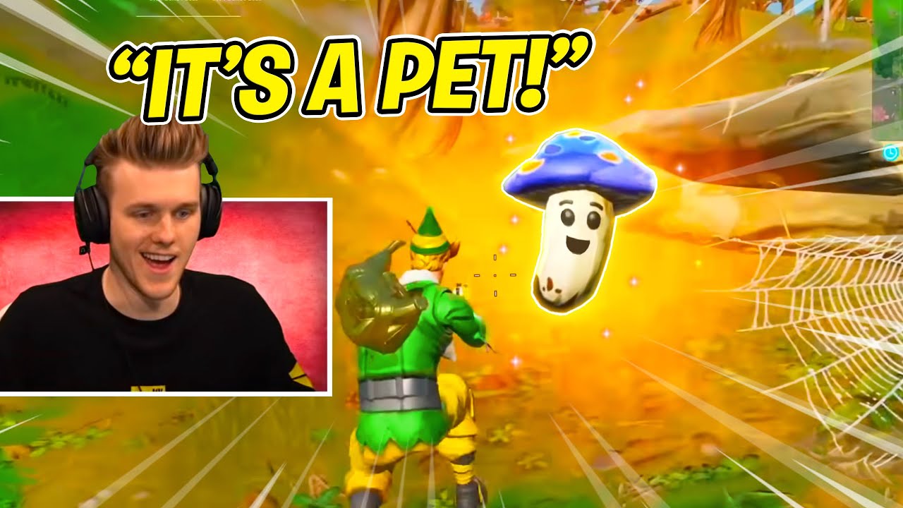 *SECRET* pet in Fortnite... 🤯