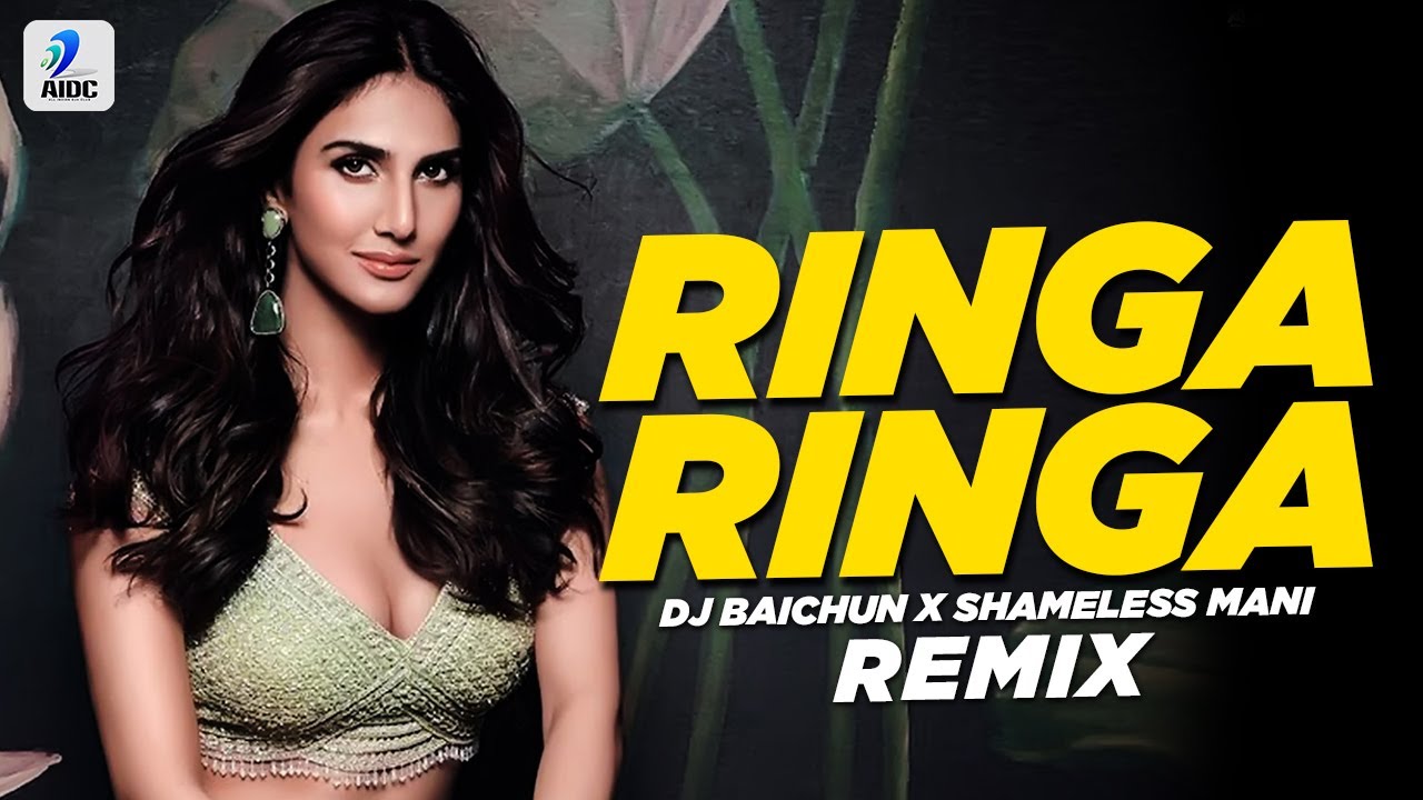 Ringa Ringa Remix  DJ Baichun X Shameless Mani  Aarya 2  Allu Arjun  Devi Sri Prasad