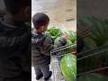Kârpuzun iyisini seçtik #youtubeshorts #reels #cute