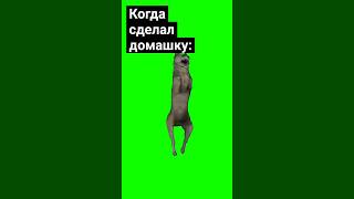 #Мем  #Топ #Мемы #Анимация #Анимации #Ипучий #Ихвильнихт #Shorts @Lord_Youtube. #Гениально