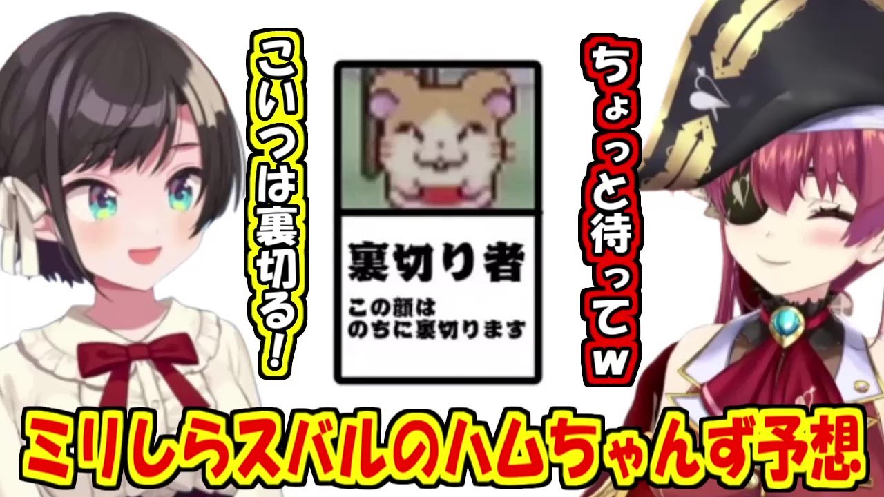 予想の斜め上を行くスバルのハムちゃんず予想【ホロライブ切り抜き/大空スバル/宝鐘マリン】