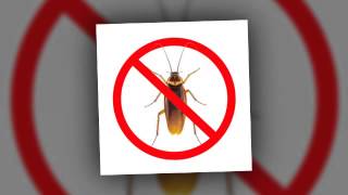 Pest Control | AAA Exterminating - Indianapolis, IN