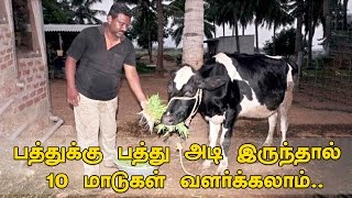 சரவணக்குமாரின் சூப்பர் ஹிட் மாடு வளர்க்கும் முறை