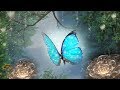 Peaceful Music, Relaxing Music, Instrumental Music, Celtic Music "Magical Forest" "