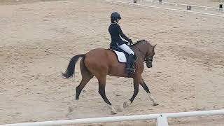 freestyle Em test 20180218 163859 1