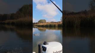 ✅👍А Я ДУМАВ??? #shorts #shortsvideo #short #shortvideo #щука#кейтеч#спінінг #fishing #рыбалка