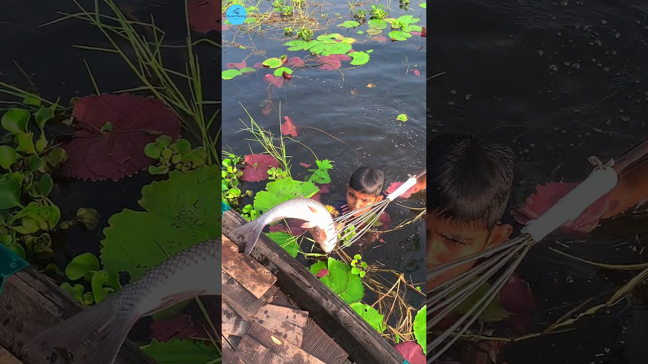 Unbelievable Small Boy Jumping Fishing Video । Best Kids Bowfishing From Boat // 