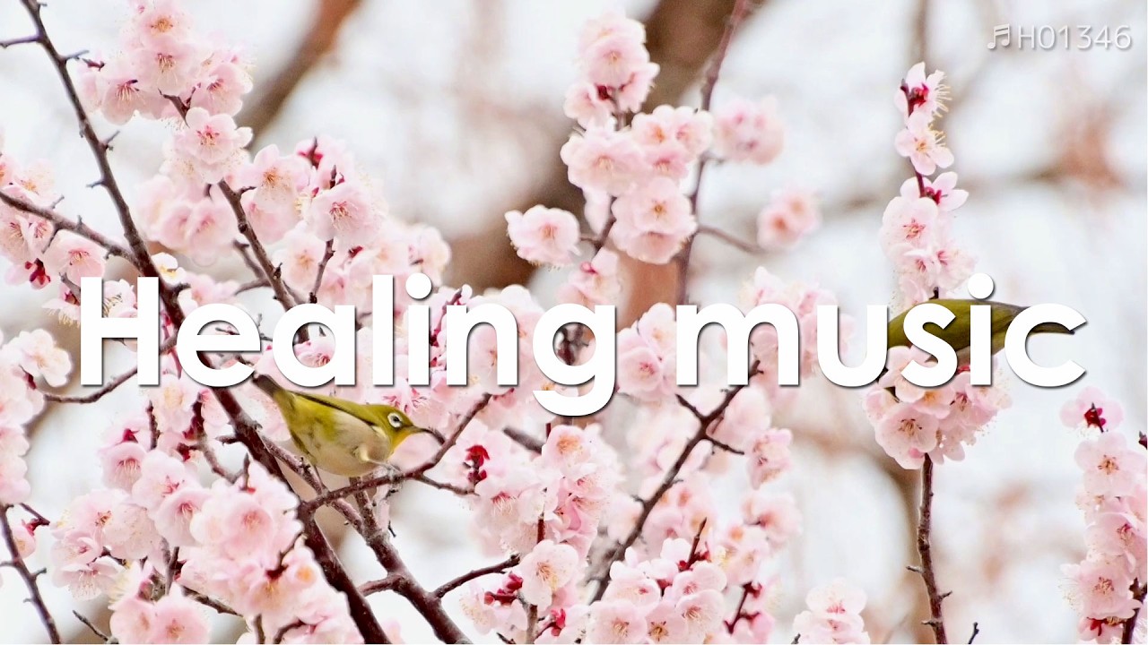 Расслабляющая музыка | Красивые цветы и спокойная мелодия – 5 минут 【 Целебная музыка 】 | ♬H01346