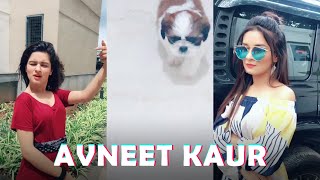 Tiktok Avneet Kaur Avneetkaur13 - Best Of Compilation 2020
