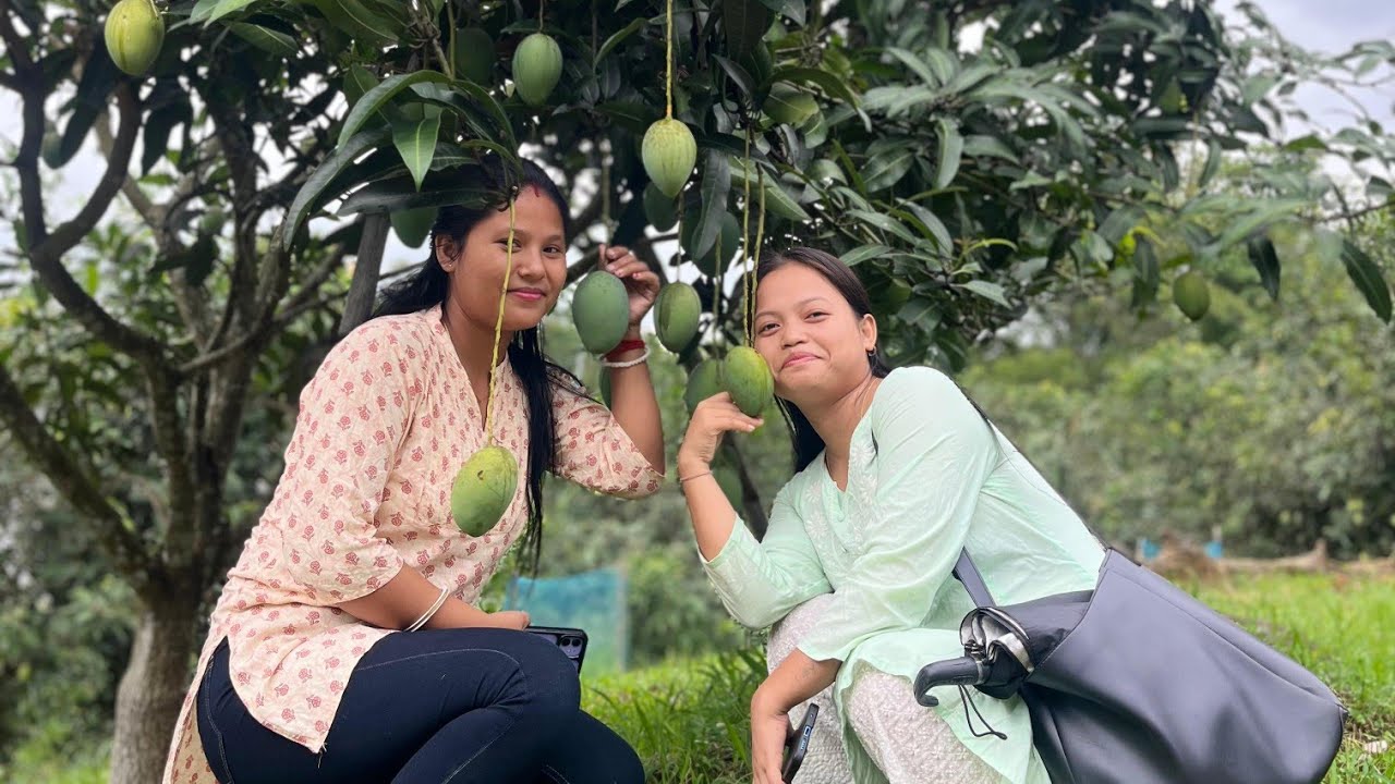 Naid naid chini para bo tgo||Mango Garden🥭🥭@madhubirupini2530