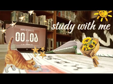 Study With Us☕🕯️ | 60 Minutes Study Session | ASMR - YouTube