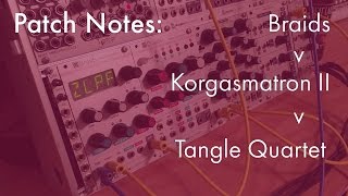 ALM Busy Circuits Tangle Quartet - Eurorack Module on