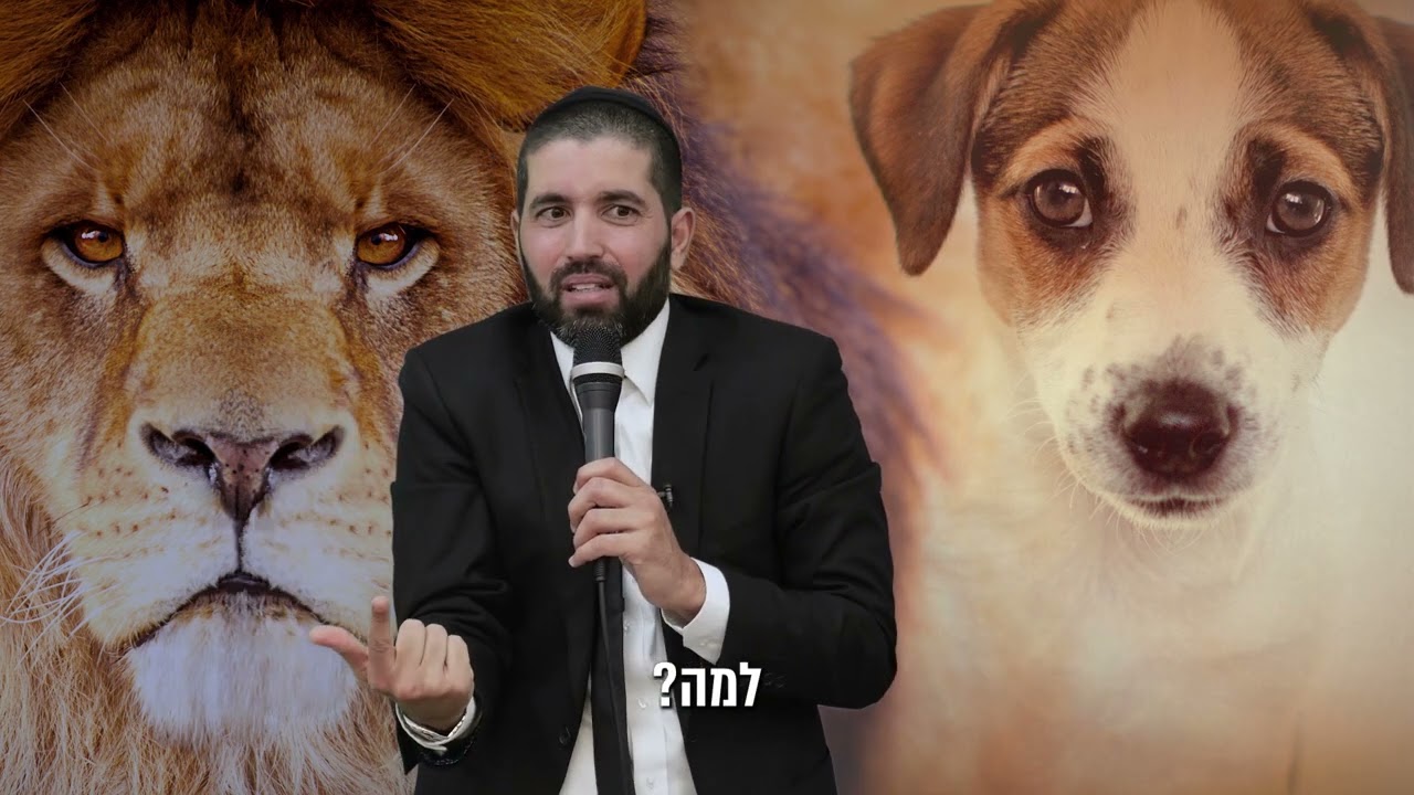 אתה צדיק יותר מרבי נחמן מברסלב, אתה קולט? 😲 הרב שניר גואטה בגילוי מטורף - עם כתוביות בעברית