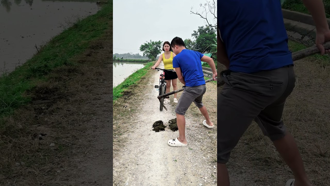 Ничто не сможет остановить его интеллект.😆🚲 