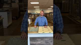 Carpet Pad