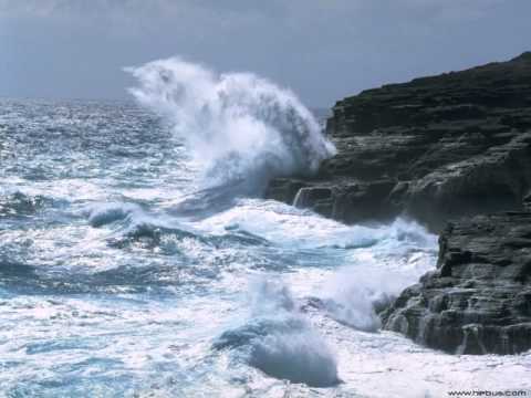 不能隔绝的爱-盛晓玫