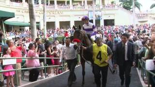 2016 Kentucky Derby Profile: Nyquist