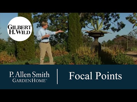 Vidéo: Conception de points focaux - Apprendre à utiliser les points focaux dans les jardins