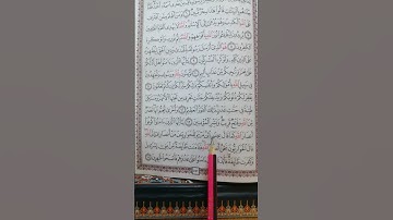 تعليم سورة الصف آية 14 (آخر السورة).