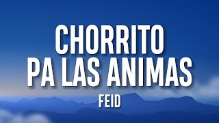 Feid - CHORRITO PA LAS ANIMAS (Letra/Lyrics)