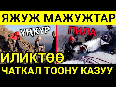 Video: Ички иликтөөнү кантип жүргүзүү керек