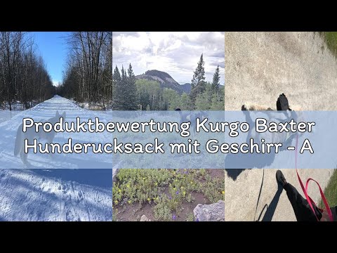 Produktbewertung Kurgo Baxter Hunderucksack mit Geschirr - Abenteuer Rucksack - Ergonomische Rückens