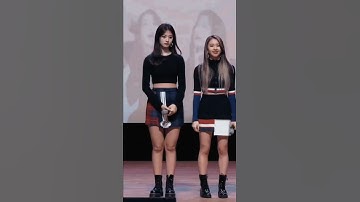 Lil Chae wants Lil Tzuyu attention | #twice #shorts #tzuyu #chaeyoung