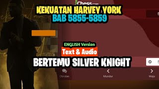 Harvey York Bertemu Silver Knight | Chess Bb.5855-5859