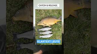 Schaut bis zum Ende!! 🤝 #catchandrelease #angeln #fischen #großefische #fischerei
