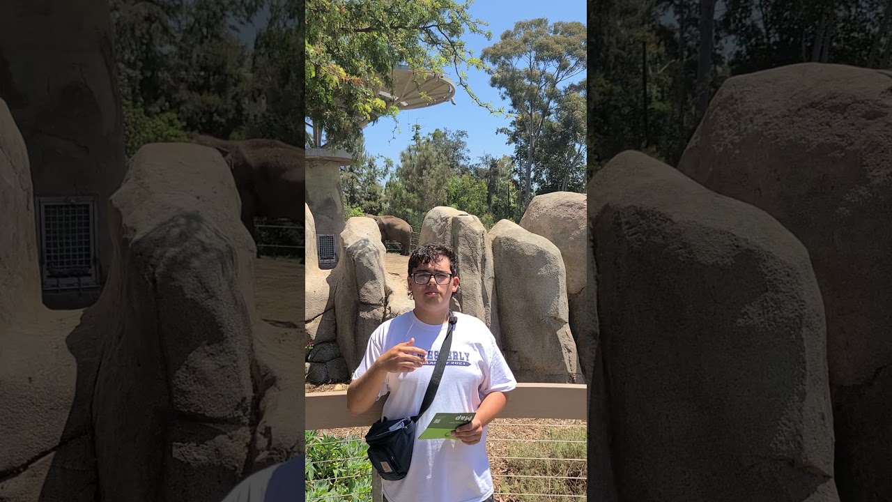 Me at the zoo (2021)