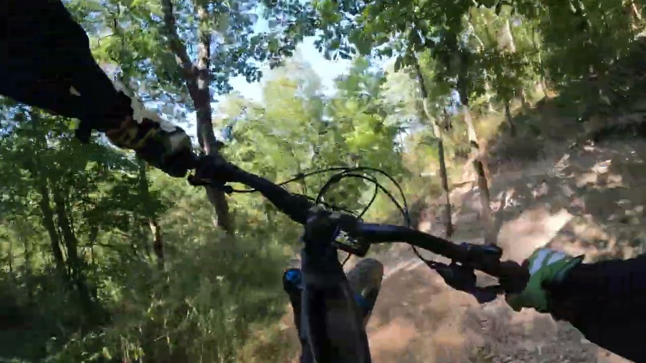 Mad Hatter/ Through the Looking Glass MTB trail