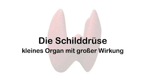 Was beeinflusst die Schilddrüse alles?