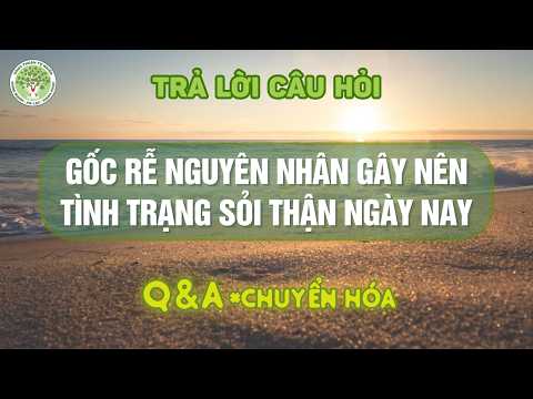 Q&A | Gốc Rễ Nguyên Nhân gây nên tình trạng Sỏi Thận Ngày Nay